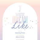 드림라이크 이미지