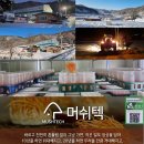 서설 - 성남시 수정구 | 서설