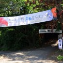 공간꽃방 이미지