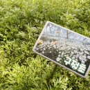 해오름 유아숲체험원 이미지