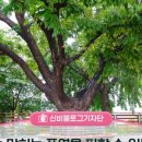 동보1차아파트경로당 이미지