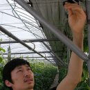 재만농장 이미지