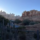 주식회사 서부 | [11박12일 미국 서부여행] Day5 디즈니랜드 어드벤처 뿌시기