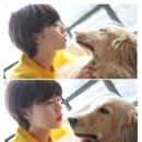 뽀뽀애견 이미지