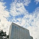 소노캄 고양 이미지