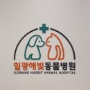 일광해빛동물병원 이미지
