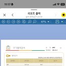 우리두리호프 | 2025.09(1)-렛츠락 페스티벌 1일차 후기와 남은 6일의 일상 공유