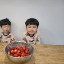 승규농장 이미지