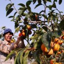 신곡농장 이미지