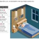 클린팜 이미지