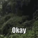 Okay 이미지