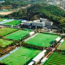 축구센타 이미지