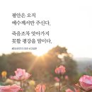 평안이네 이미지