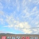 백년가업 하늘땅본점 | 창원 가족외식 추천 숯불 불고기 맛집 백년가업 하늘땅 본점
