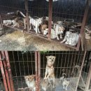 광주농장 이미지