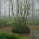 백두대간 19구간 종주 (이화령 - 백화산 - 희양산 - 은티재) 이미지