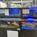 모닝마트 이미지