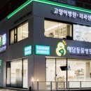 문 동물병원 이미지