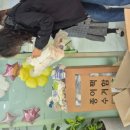 구립새하늘어린이집 이미지