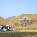 경주여행 코스 가볼만한곳 대릉원 천마총 첨성대 주변 경주산책로 이미지