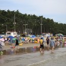 몽산포패밀리데이캠핑장 이미지