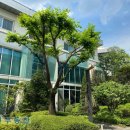 힐스테이트기흥공인중개사사무소 이미지