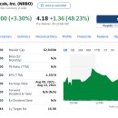 주식회사 바이오스트림 | [미국 주식]NeuroBo Pharmaceuticals, Inc. (NRBO)