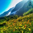 모아내과의원 이미지