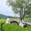 조만강생태체육공원 이동식화장실 | 김해 조만강생태체육공원 [청보리밭 축제]