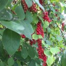 이상윤농장 이미지