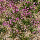 황룡강변2 이미지