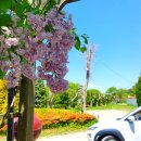 장꽁펜션 | [태안펜션] 태안 장꽁펜션 민들레방 후기 두둥탁