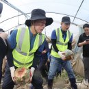 김병기농가 이미지