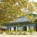 꽃향기가득한 이미지