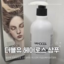 건강두피모발관리 | 리스킨의 HAMOCELL 더블유헤어로스 샴푸로 두피건강, 모발관리 걱정은 이제 그만