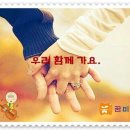 메트로칸