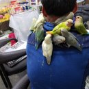 인천조류원 이미지