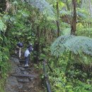 하늘노래소리 Ⅱ 이미지