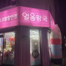 얼음왕국아이스크림할인점신월229호