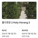 홀리호랑 | 홀리호랑 제주 에어비앤비 (감성 독채 숙소, 협재 숙소,금능해수욕장,애월숙소)