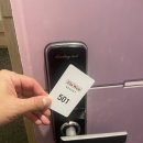 다우리조텔 | [강릉 숙소] 정동진 다우리조텔 (25.10.31-11.1)