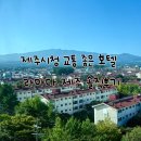 시티홀관광호텔제주 | 제주시청 호텔 라마다제주시티홀 내돈내산 솔직후기