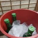 남도마실 Daum카페