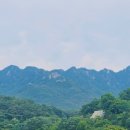 삼성식당 이미지