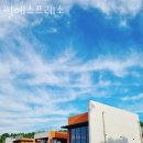아름농장 | 블루베리체험 아름팜 서울근교 당일치기 농장체험 추천!
