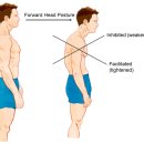 올바른한의원 이미지