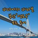 3H 부산 영도 남항센터 | 부산의 낭만 도시 '영도구 보트 투어' 바다 위에서 바라본 영도는 또 다른 도시 였다.