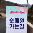 동대구역(경부선) | 경부선 간이역 원동역과 26년 원동 매화축제 순매원 방문 후기