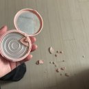 [공지] 행복한 4월 일상 모음_ 이삭토스트 포켓몬뱃지와 벚꽃