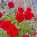 브레이브스튜디오 이미지